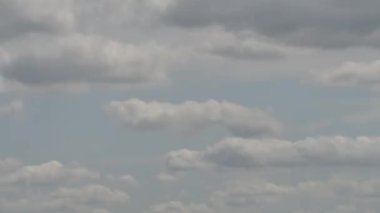 Curtiss P-36 Hawk Birleşik Devletler Hava Kuvvetleri 2. Dünya Savaşı Savaş uçakları