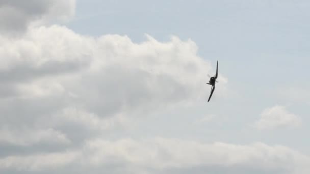 Вторая мировая война Военно-морские силы США боевые самолеты шанс Vought F4U Corsair — стоковое видео