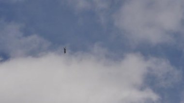 Grumman F6F Helkatli Amerikan uçak gemisi 2. Dünya Savaşı uçuşu sırasında