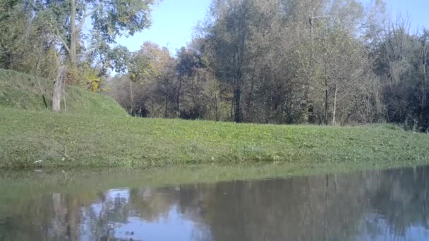 Moorhen commun, Gallinula Chloropus, Oiseaux aquatiques Terres un lac Eau
