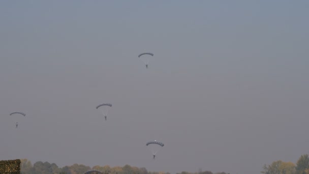 กองทัพ Parachutists ในท้องฟ้าลงจอดบนสนามรบเพื่อต่อสู้กับผู้ก่อการร้าย — วีดีโอสต็อก