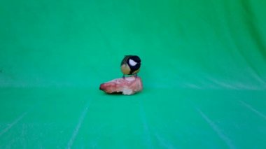Small Bird Great Tit, Parus major, in Green Screen or Chromakey