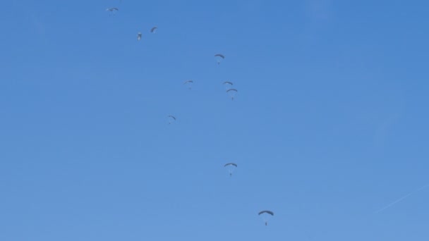 Weiße Fallschirmspringer der Paramilitärs steigen vom Himmel zum Ziel ab — Stockvideo