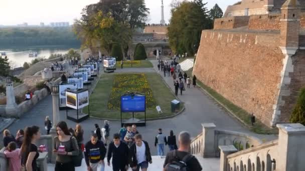 Fotografisk exibition Belgrad fästning Kalemegdan Park med blommor vid solnedgången — Stockvideo