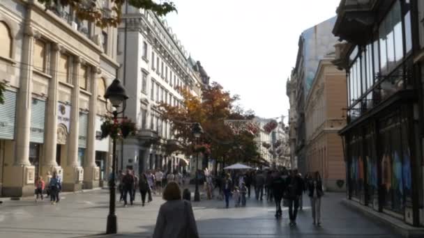 Shops and People on Shopping Road in Belgrade City Center Downtown — Stock Video