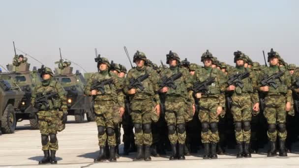 Πορτρέτο των στρατιωτών με πράσινη μιμητική στολή και την καταπολέμηση του στρατιωτικού εξοπλισμού — Αρχείο Βίντεο