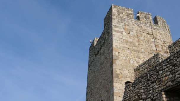 Une grande tour haute avec une horloge sur le côté d'un bâtiment en brique — Video