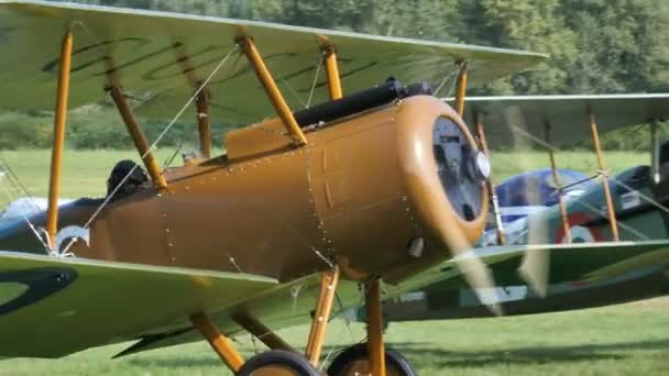 Avion biplan Sopwith Camel de la Première Guerre mondiale circulant sur un aérodrome en herbe — Video