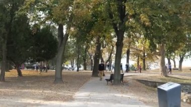 Belgrad 'daki Roma Castrum Parkı Kalemegdan Kalesi