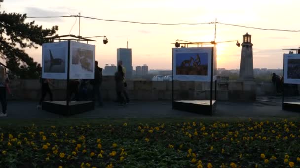 Exposição fotográfica Fortaleza de Belgrado Parque Kalemegdan com flores ao pôr do sol — Vídeo de Stock