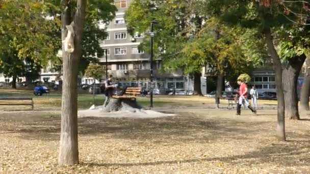 Studentski Park, Parque Académico, en Studentski Trg, Plaza de los Estudiantes, Belgrado — Vídeos de Stock