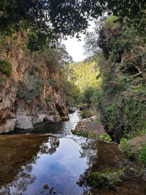 Ormanda şelale, Akchour, Fas
