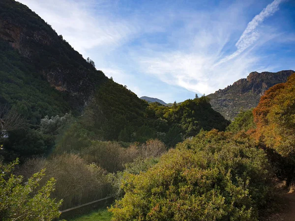 Πυκνά Δάση Ακκούρ Μαρόκο — Φωτογραφία Αρχείου