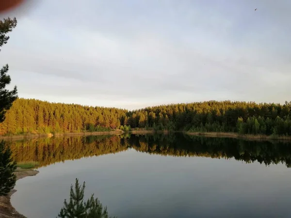 Tűlevelű Erdőkkel Körülvett — Stock Fotó