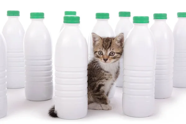 Niedliches Gestromtes Kätzchen Spielt Zwischen Mehreren Plastikmilchflaschen Auf Weißem Isoliertem — Stockfoto