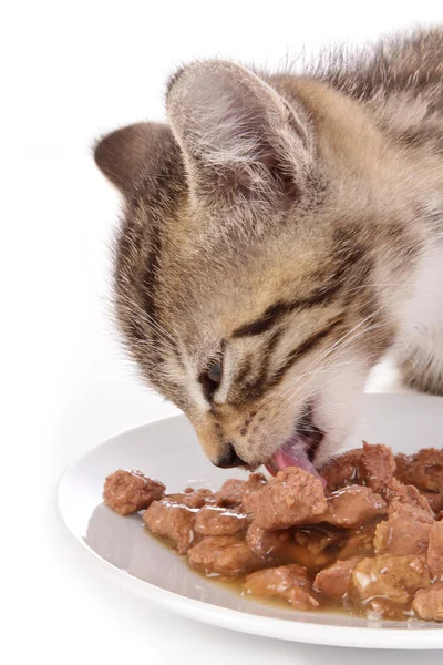 Niedliches Gestromtes Kätzchen Das Nasses Futter Von Einem Teller Auf — Stockfoto