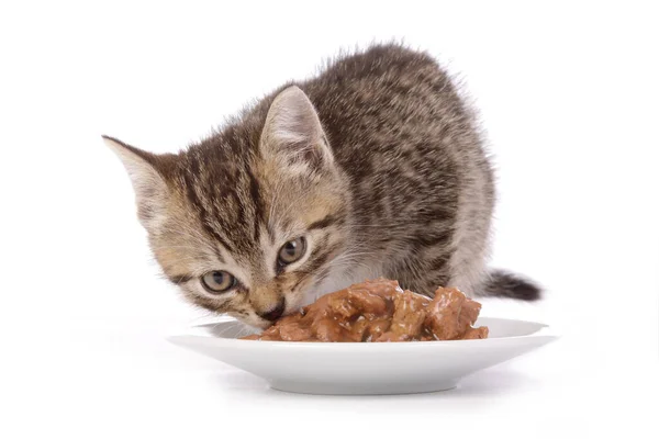 Niedliches Gestromtes Kätzchen Das Nasses Futter Von Einem Teller Auf — Stockfoto