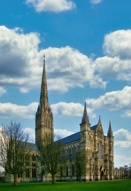 Salisbury Katedrali dandik kulesiyle Salisbury, Wiltshire, İngiltere