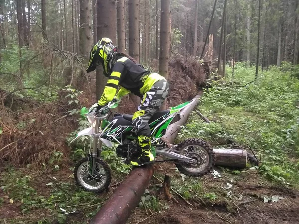 Ragazza Casco Sella Pitbike Verde Oltre Log Nel Bosco — Foto Stock