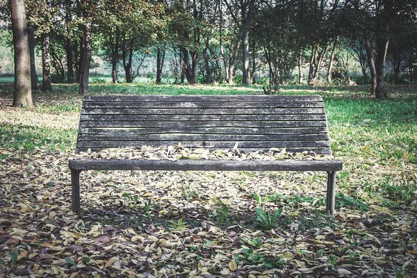 落ち葉の中で一人で木製のベンチ — ストック写真