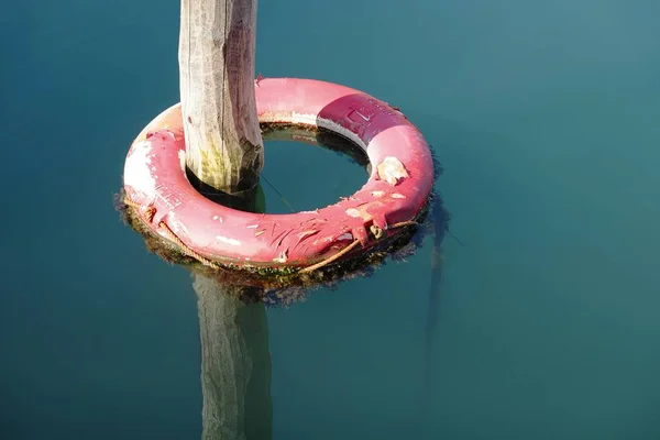 Рятувальний Бульйон Воді Прикріплений Причалу — стокове фото