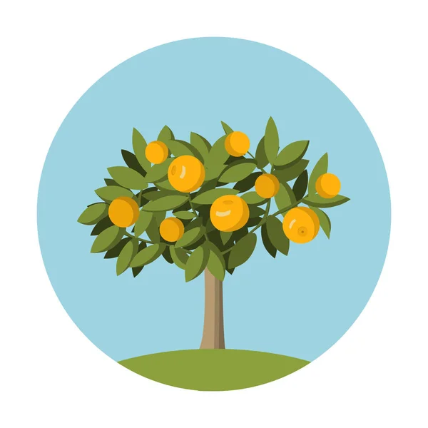 Sinaasappel Fruit Boom Platte Stijl Ontwerpelement Voor Websites Tuinieren Winkels — Stockvector