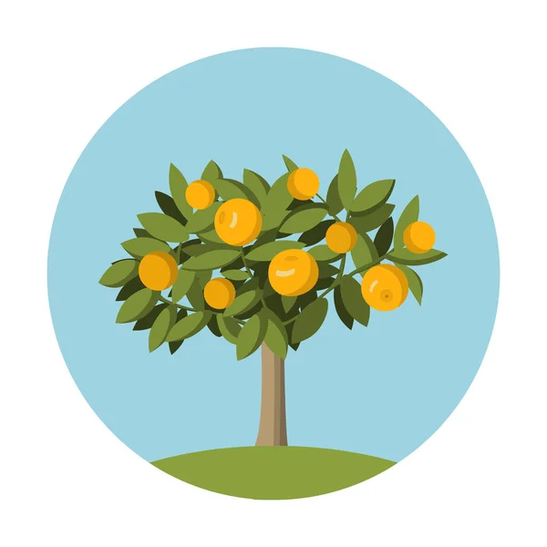 Oranje fruitboom in platte stijl.Design element voor de websites tuinieren. — Stockvector
