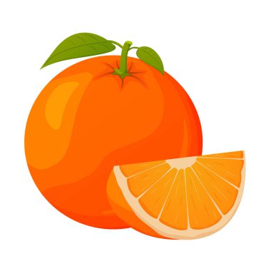 Bir dilimli gerçekçi portakal meyvesi. Olgun tropik meyve.