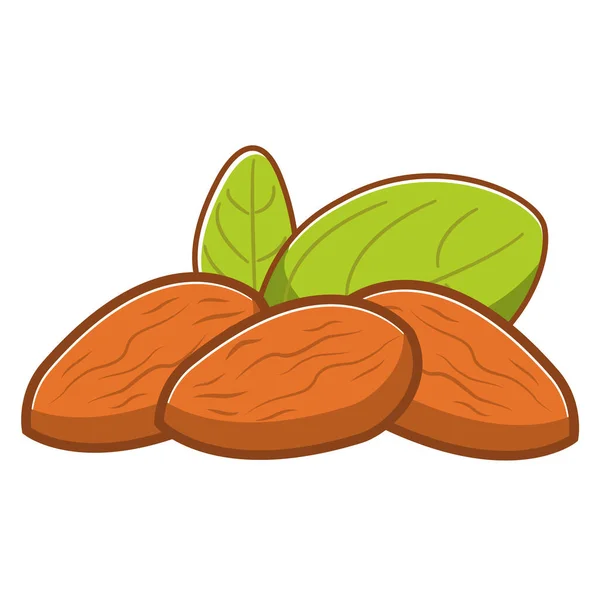 Kacang almond seluruh hijau leaves.Organic food.Vegetarian snack. - Stok Vektor