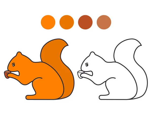 Ζωικό μικρό σκίουρο και καρύδι.Βιβλίο ζωγραφικής για παιδιά. — Διανυσματικό Αρχείο