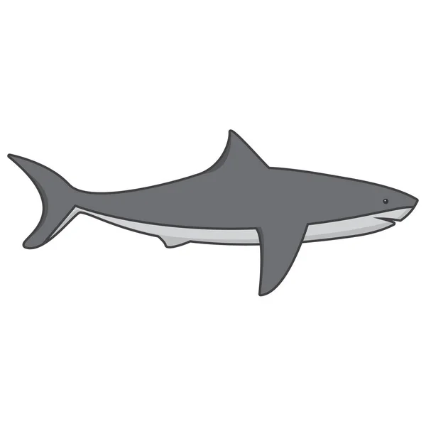 Sea or ocean predator. Underwater big white a shark, fish with fins and gills. — Stock Vector