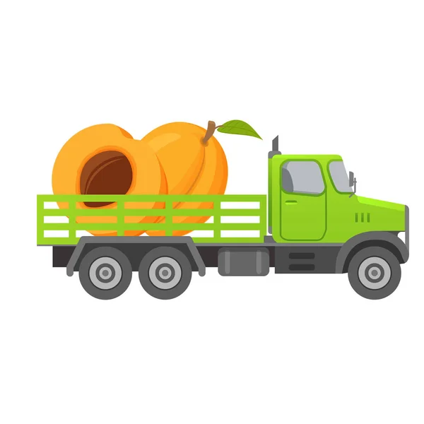 Livsmedelsleverans lastbil aprikos frukt skörd.Car illustration vektor. — Stock vektor