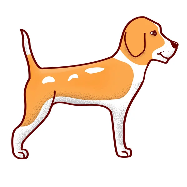 Kutya beagle állat.Rajzfilm karakter sziluett.Ikon weboldalak állatorvosi klinikák. — Stock Vector