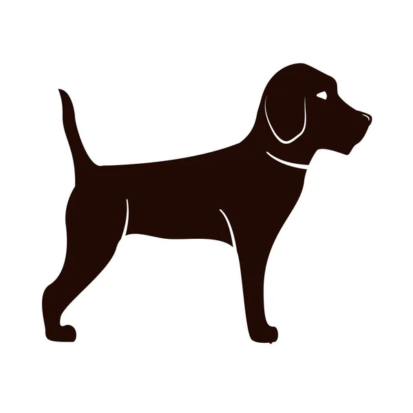 Hund Beagle Tier. Zeichentrickfigur Silhouette. Isoliert auf weißem Hintergrund. — Stockvektor