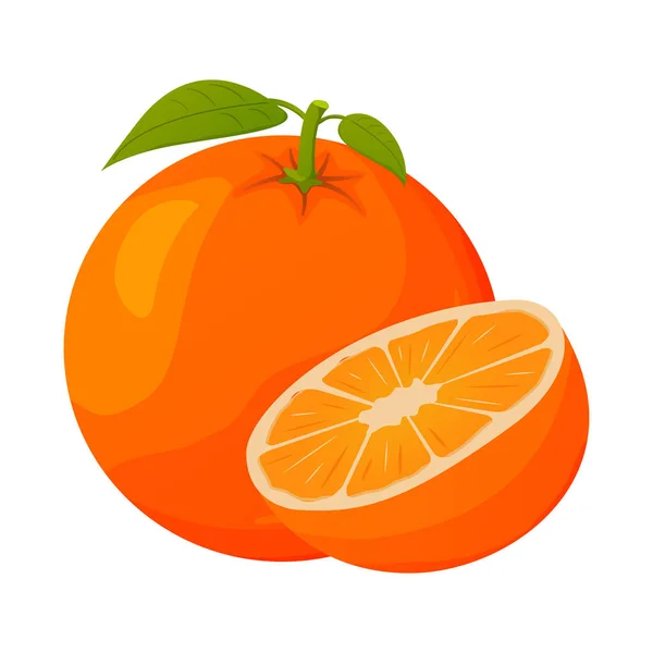 Fruta naranja realista con una rebanada. Frutas tropicales maduras. — Archivo Imágenes Vectoriales
