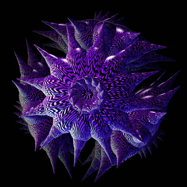 Cartera Natwil Fotos Ilustraciones Y Arte Vectorial De