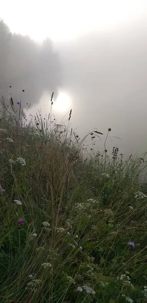 Sisin Içinden Güneş Işınları Yayılıyor — Stok fotoğraf