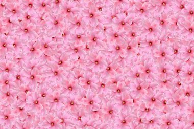 desen arka plan pembe Hibiscus syriacus çiçek