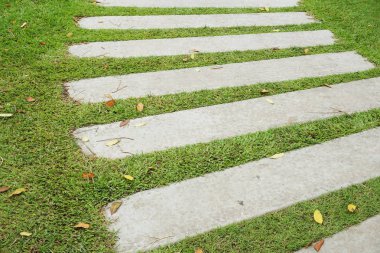 Doğa bahçesinde çimento tabağı