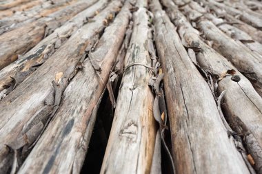 kuru ahşap döşeme dokusu