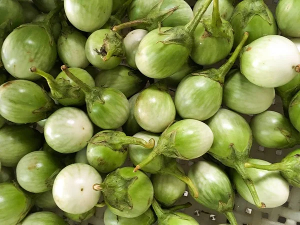 Verse Groene Aubergine Markt — Stockfoto