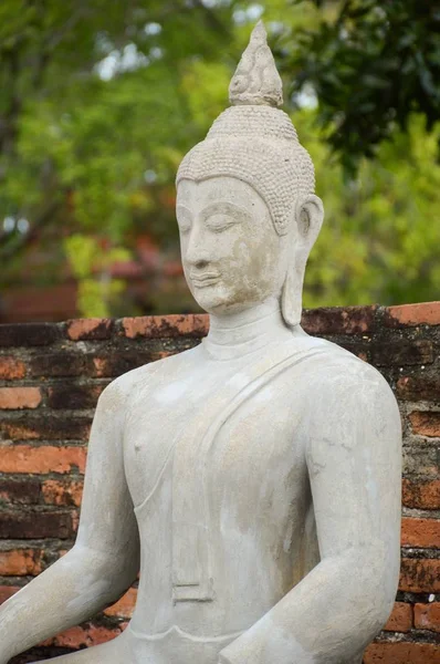 Ayutthaya Thaiföld Templom Buddha Szobor — Stock Fotó