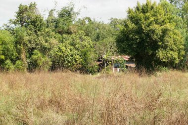 Nakhon Nayok, Tayland at doğa ülkede çim Sahası