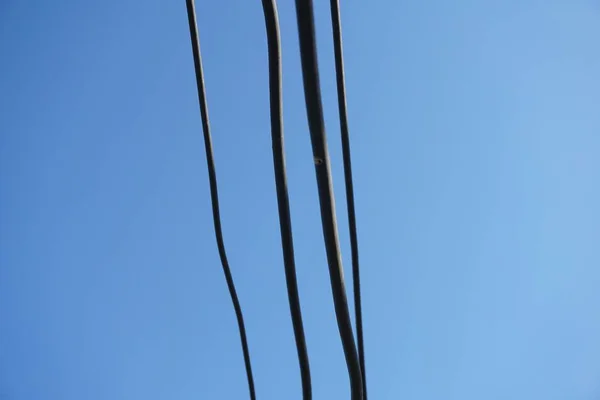Cable Alambre Cielo Azul — Foto de Stock