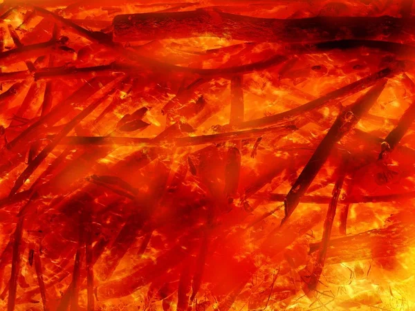 Oheň Hořící Dřevo Lese — Stock fotografie