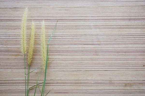 Grasblume Auf Holzboden Textur — Stockfoto