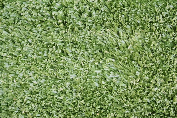 Textura Hierba Verde Para Fondo — Foto de Stock