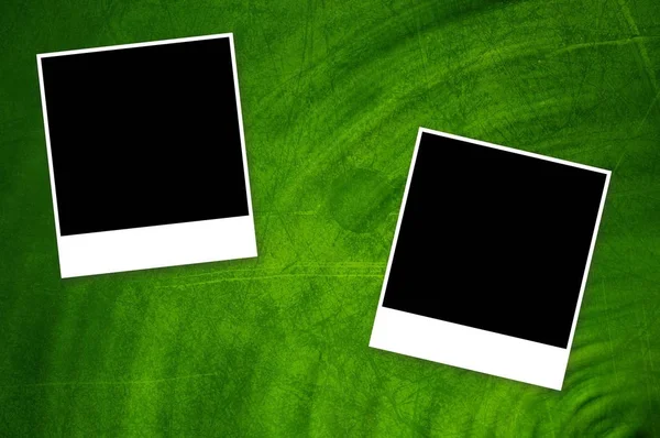 Card Green Color Background — Stock Photo, Image