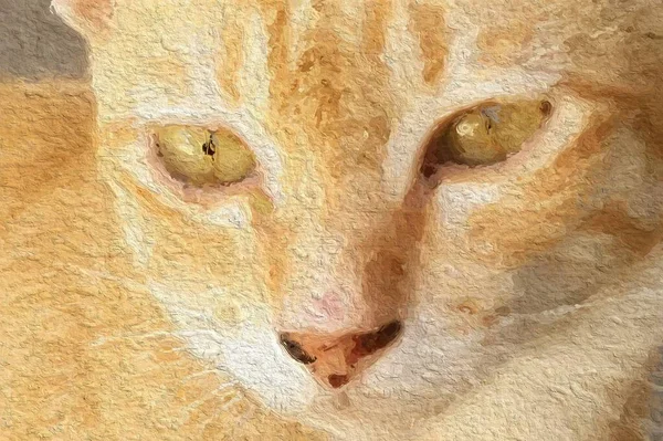 Kunst Süße Katze Hintergrund — Stockfoto
