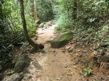 Khao Chamao, Rayong, Tayland 'da doğa yolu.